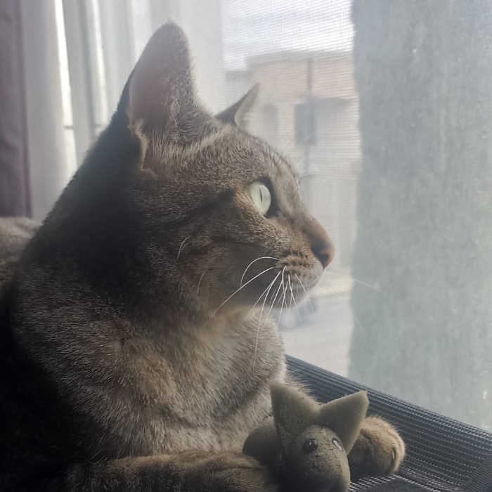 WeatherVictor