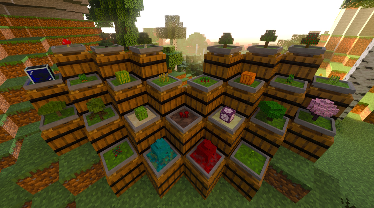 Multiple bonsais growing different trees and crops