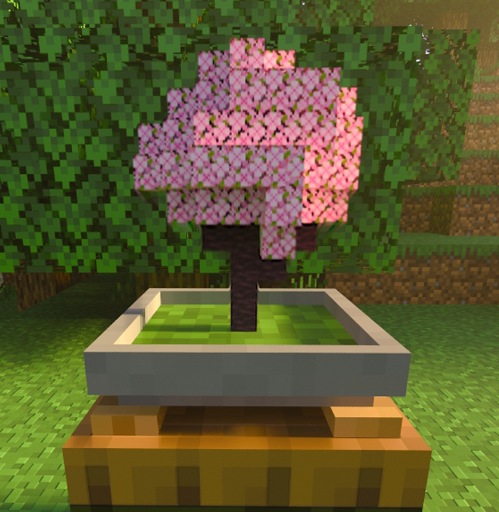 Bonsai growth animation stages