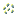 Nether Star Seeds render